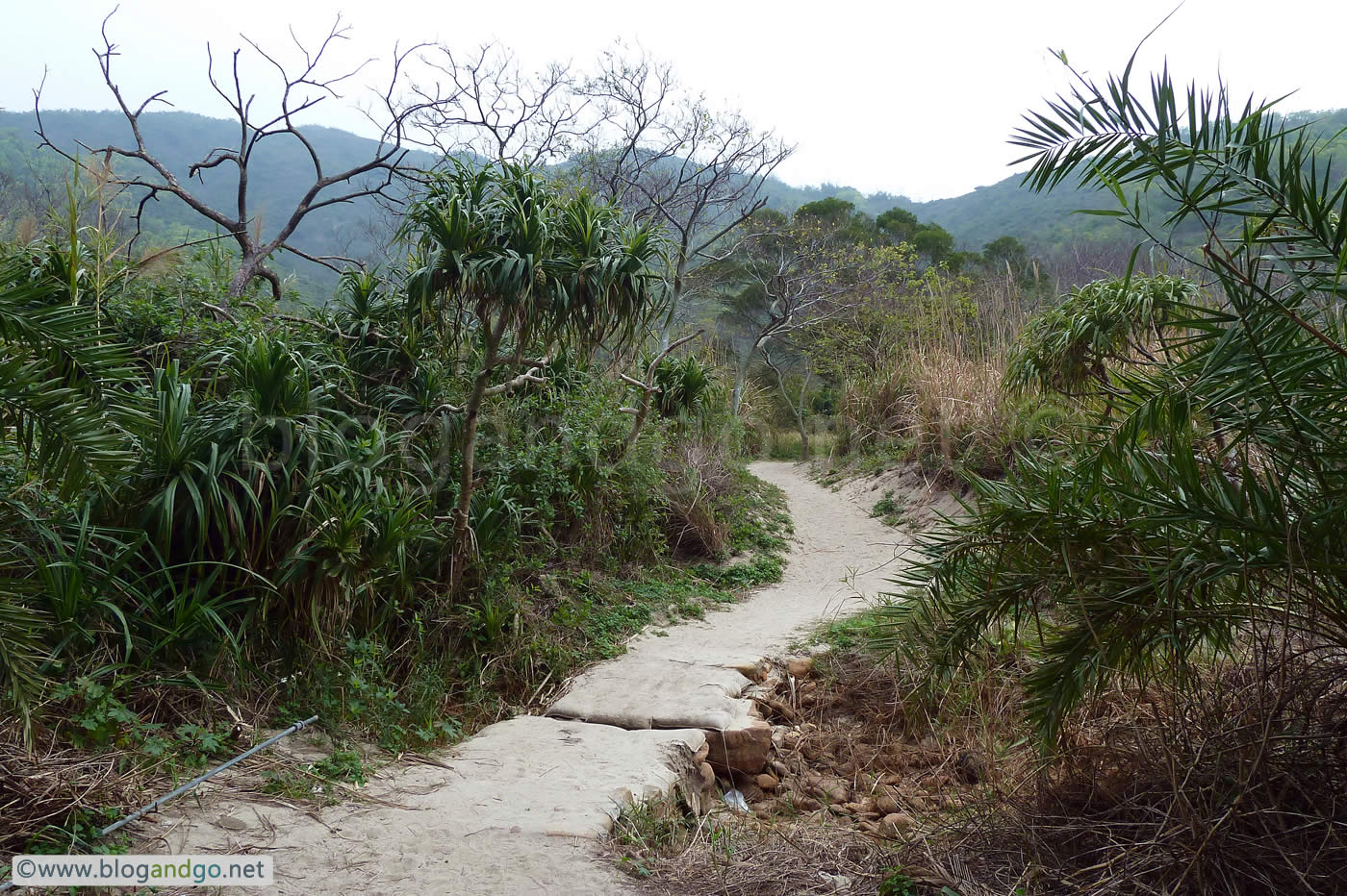 Maclehose Trail 2 - Trail